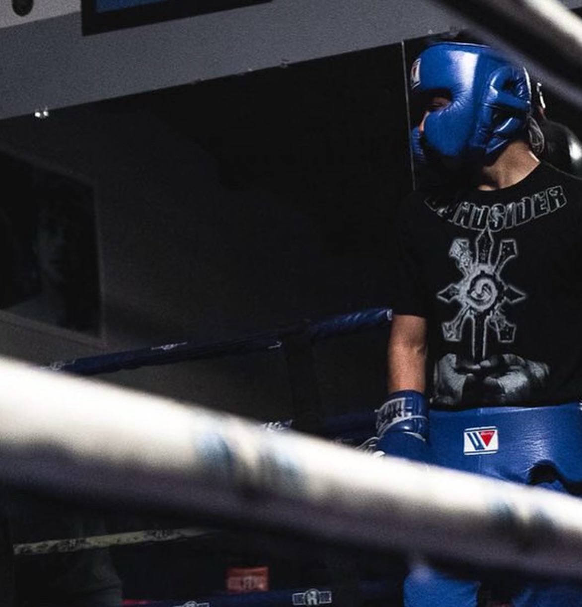 Adult Boxing