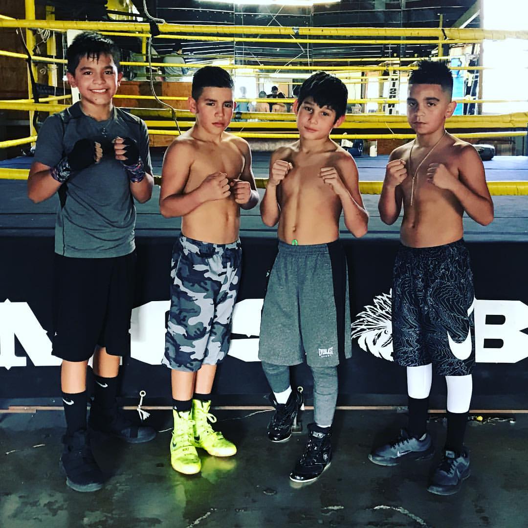 Fight night 12